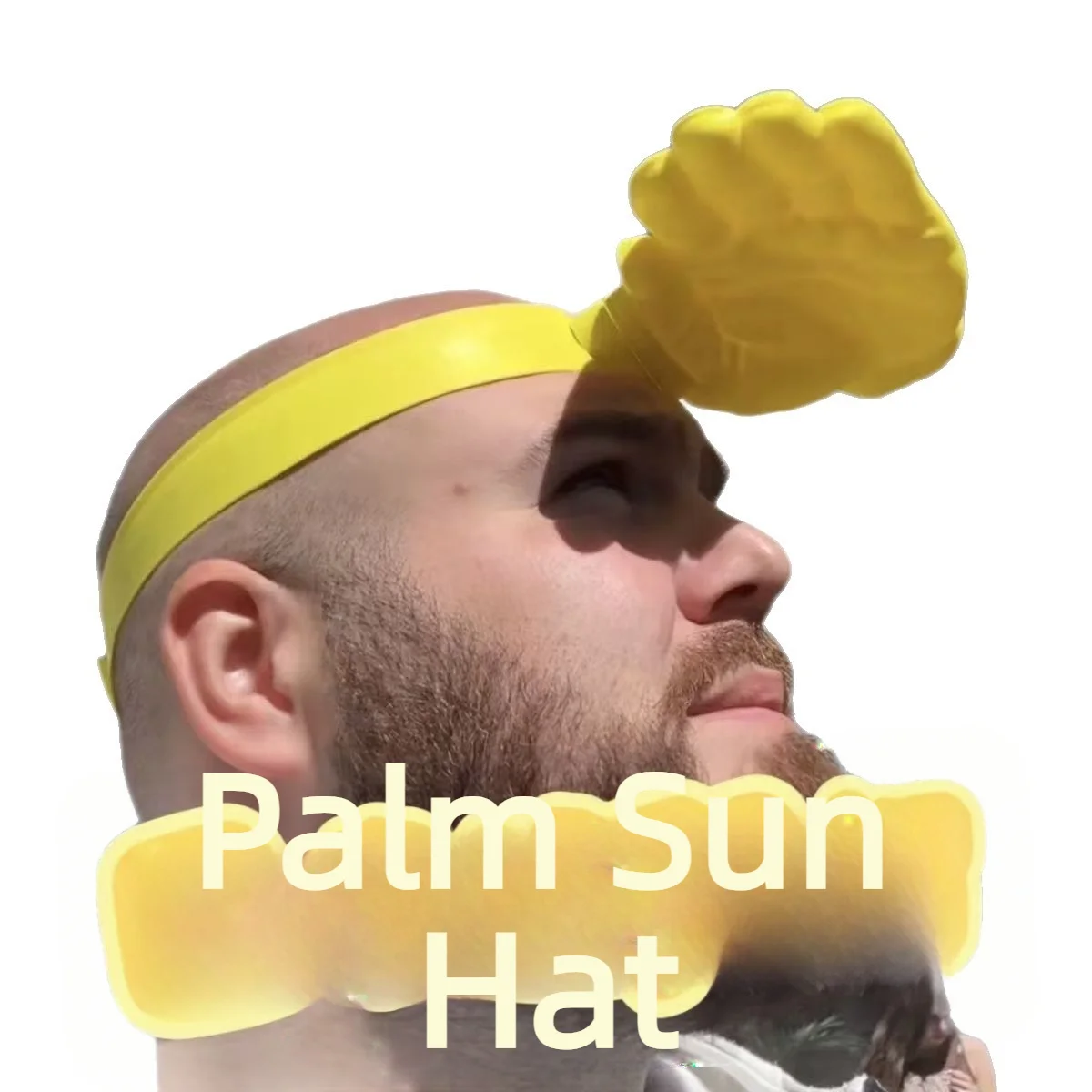 1/3개입 참신한 3D 손바닥 모양 햇빛 가리개 재미있 - Visor Sun Hat 리뷰 및 가격